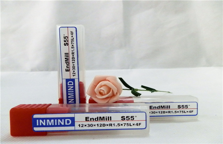 Long Reach köşe yarıçapı sonunda değirmen 4 flüt katı karbid kesici alet, HRC50 oluk